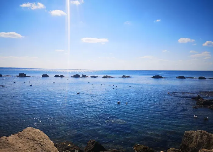 Baia 加利波利